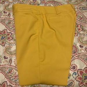 New York & Company 7th Avenue Capri